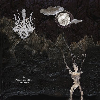 Read more about the article True Black Dawn – “Of Thick-Circling Shadows” album review