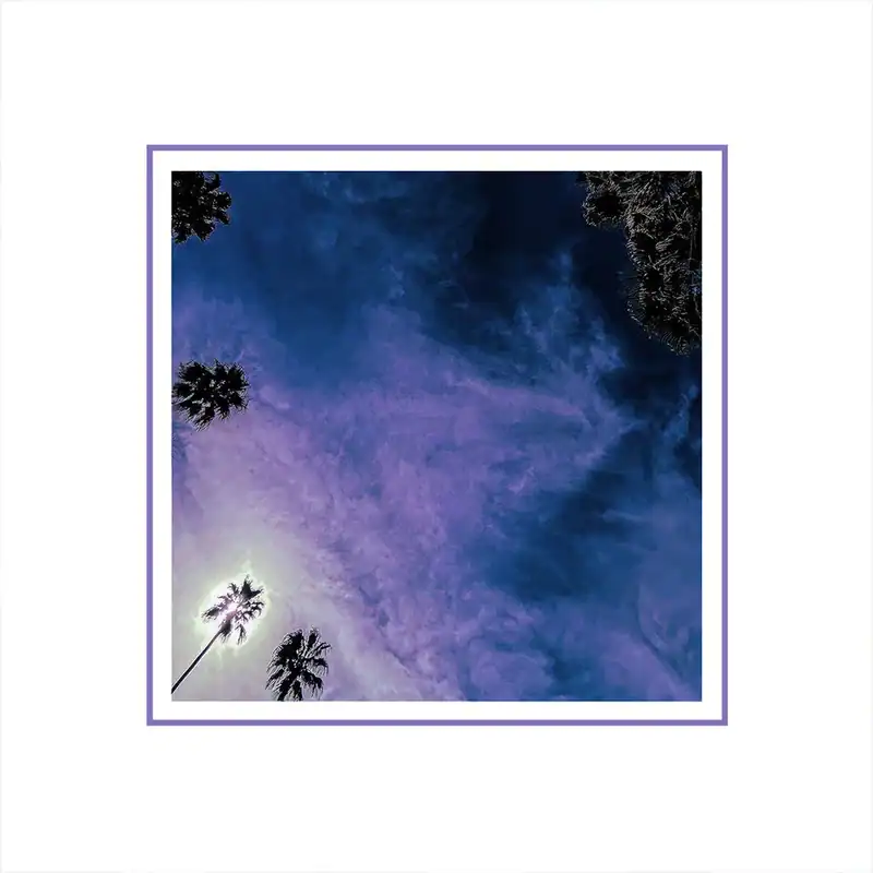 View looking up at a purple-blue sky with palm tree silhouettes, framed by a double purple border as a decorative poster image.